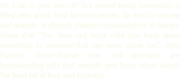 So, I say to you, Join Us! Our animal loving community is filled with good, kind hearted people. Be kind to people and animals, and teach children compassion for all beings. Know that “You have not lived until you have given something to someone that can never repay you”, John Bunyan. Unconditional love and gratitude are heartwarming gifts that animals give freely when shown the least bit of love and kindness.