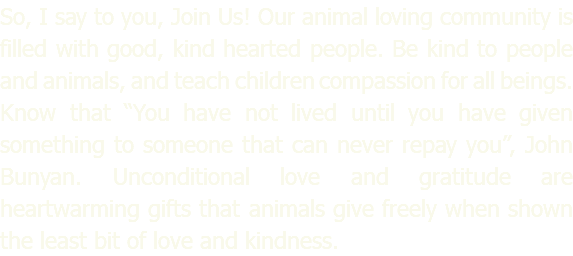 So, I say to you, Join Us! Our animal loving community is filled with good, kind hearted people. Be kind to people and animals, and teach children compassion for all beings. Know that “You have not lived until you have given something to someone that can never repay you”, John Bunyan. Unconditional love and gratitude are heartwarming gifts that animals give freely when shown the least bit of love and kindness.